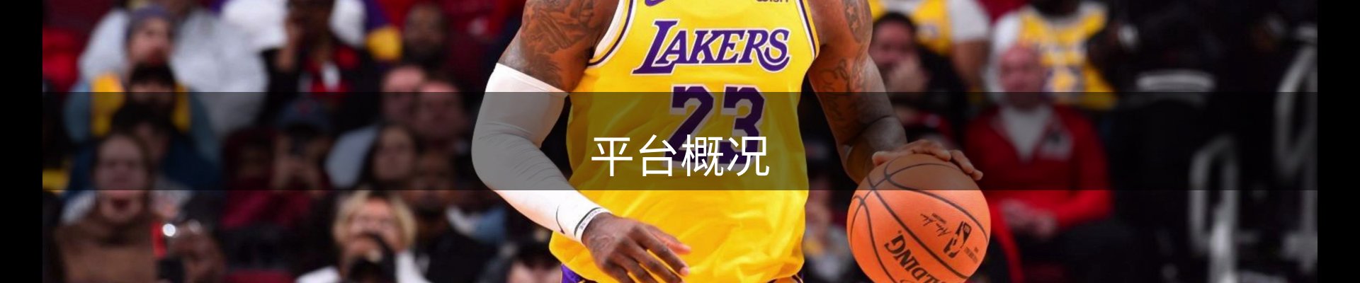 平台概况