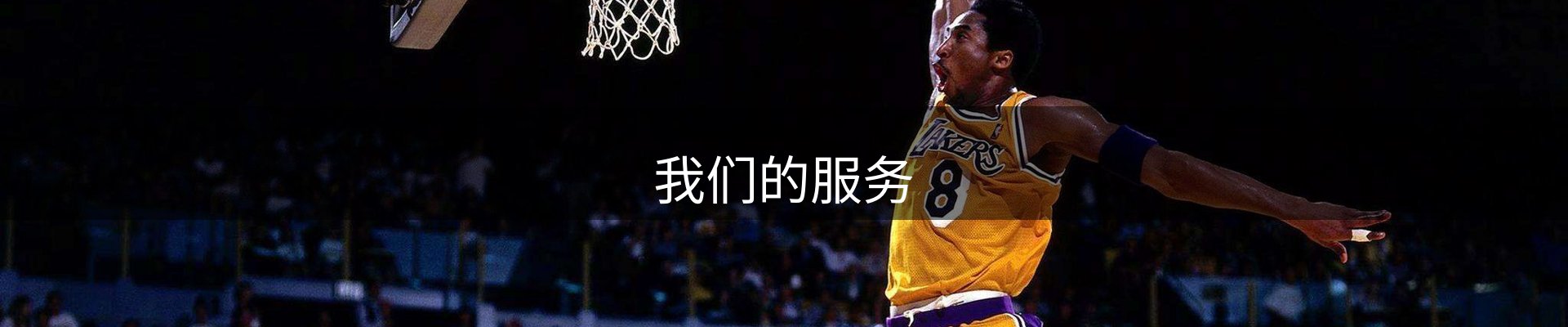 我们的服务